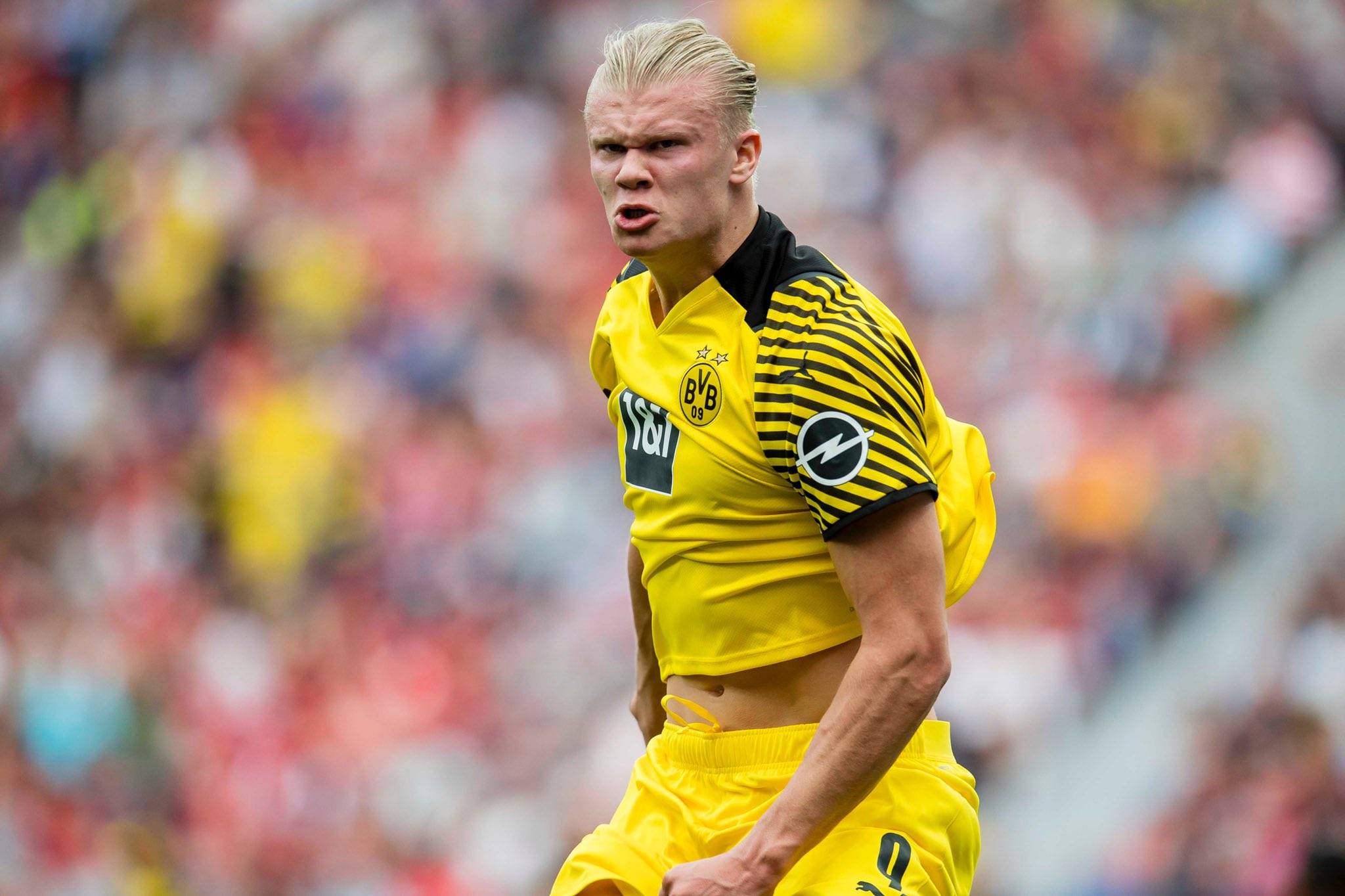 竞技的三位 竞技的三位